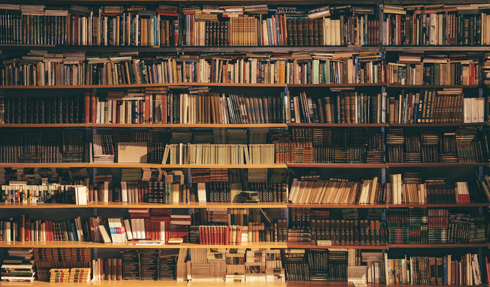 Shelves of reference books